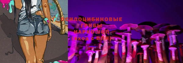 индика Магадан