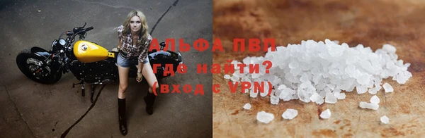 индика Магадан