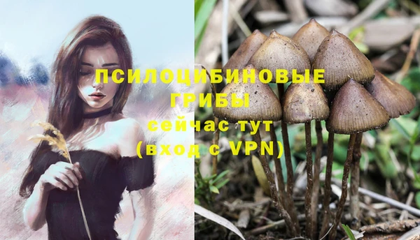 индика Магадан