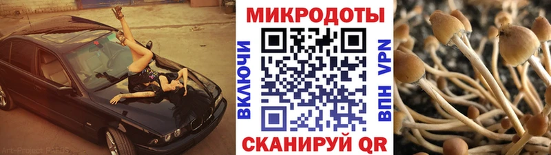 mega   Павловская  Галлюциногенные грибы мицелий  как найти закладки 